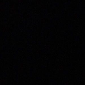 Meet your Posher, Bianca